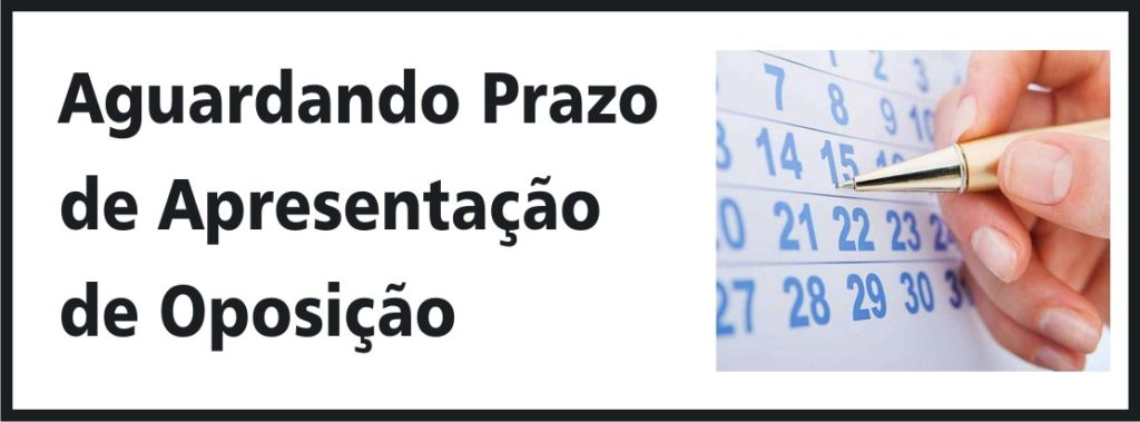 Descubra o que é Aguardando Prazo de Apresentação de Oposição no INPI